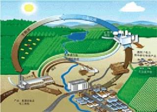 到2022年，陽信縣取暖基本不用煤！用生物質能！