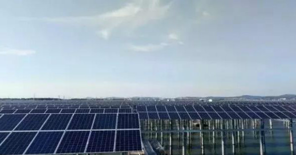 晶澳海外業務增長迅速 巴西、馬來西亞光伏電站均采用其高效單晶PERC組件