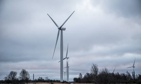 強風使愛沙尼亞風電場滿負荷運轉，電力市場價格也受影響