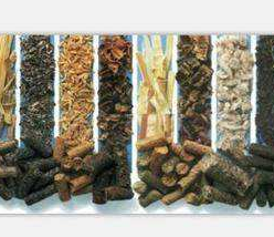 “清潔能源”木質顆粒背后的秘密