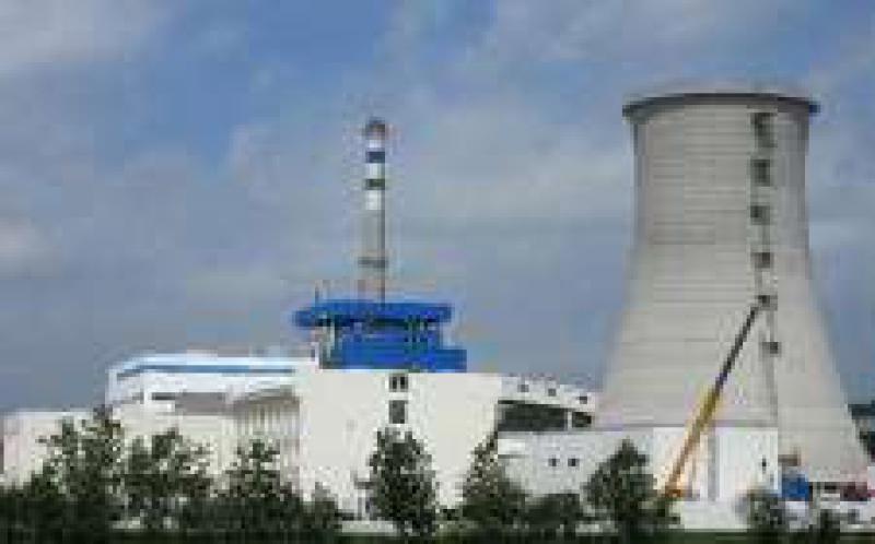 中國能建安徽電建一公司承建的安徽天長生物質發電機組成功并網