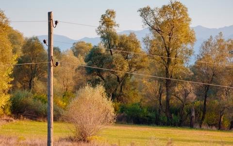 為振興黑山配電網絡，CEDIS將在分銷網絡上投資8160萬歐元