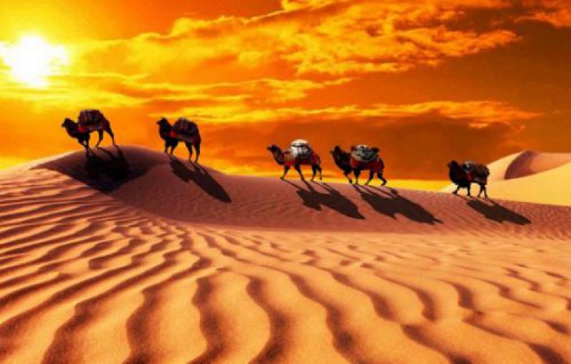 烏克蘭經貿部介紹烏實施“絲綢之路”項目落實情況