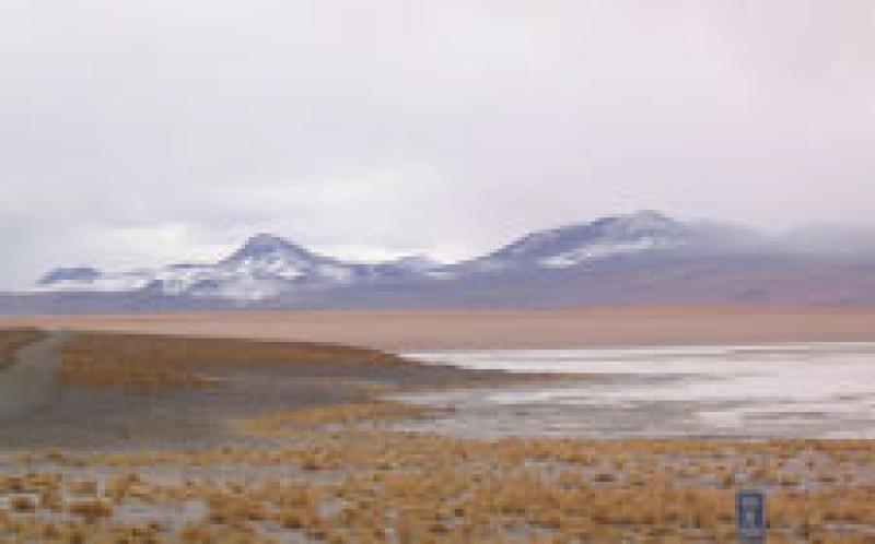 RFP：技術協調地熱開發，Laguna Colorada，玻利維亞