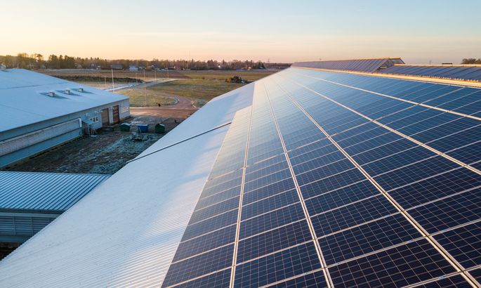 愛沙尼亞奶牛場開始工作的太陽能發電廠處于最高容量