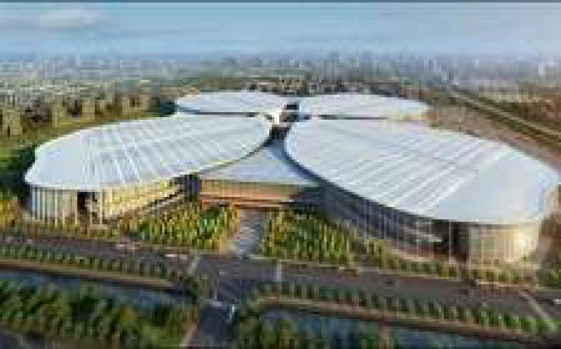 孟振平參加進博會開幕式，加快建設成為具有全球競爭力的世界一流企業，將加強對“一帶一路”沿線國家的能源資源開發與合作