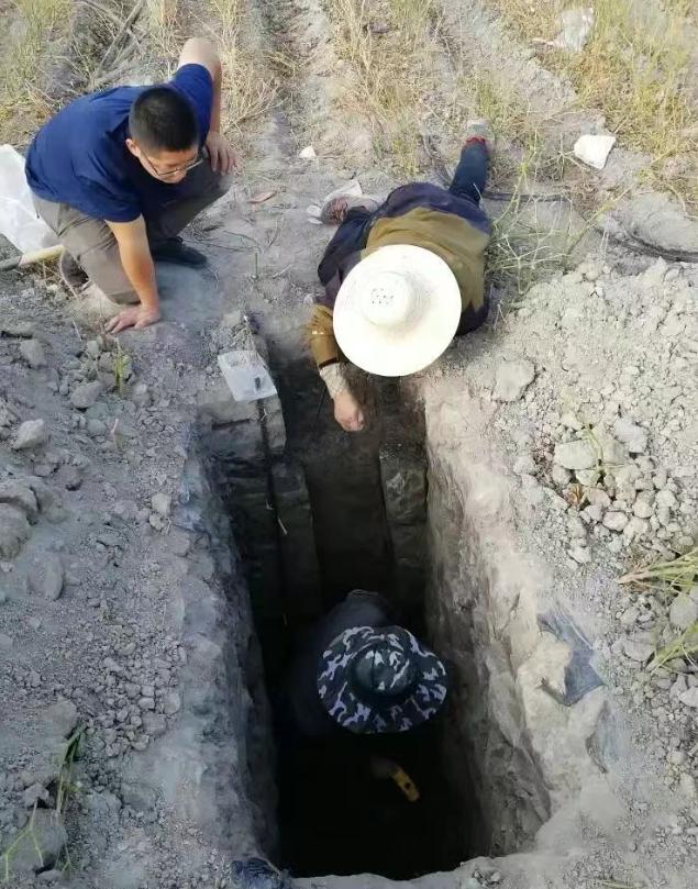 重大突破！新疆發現近千公里“硒腰帶”