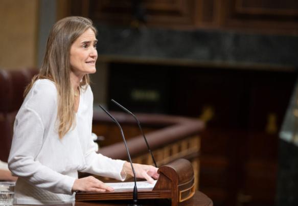 西班牙議會否決電網改革與儲能發展法案