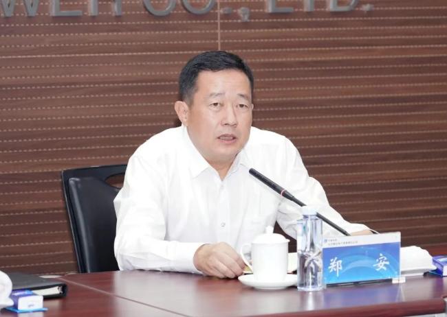 中國華能黨組任職決定：鄭安履新