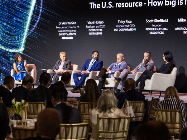 勞拉·斯韋特呼吁推進能源許可改革，禁止州否決天然氣管道許可