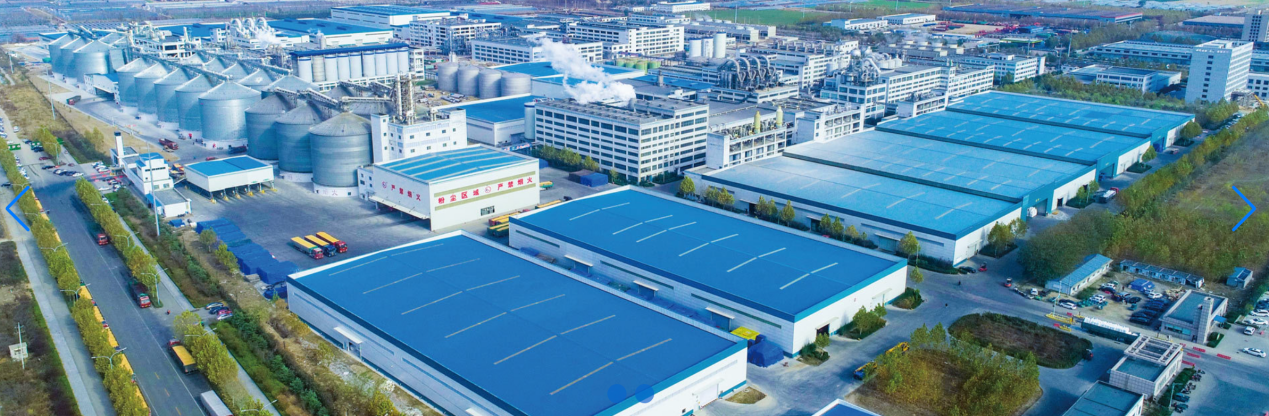 端點科技攜手金玉米，深耕農業采購“良田”